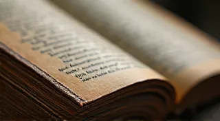 The Legacy of the Herbalist: Passing Down Ancient Pet Healing Wisdom
