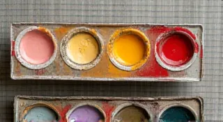 A Pet's Palette: Harmonizing Flavors & Healing Properties