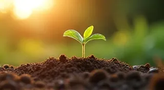 The Seed of Renewal: Germinating an Herbal Garden for Your Pet's Wellness